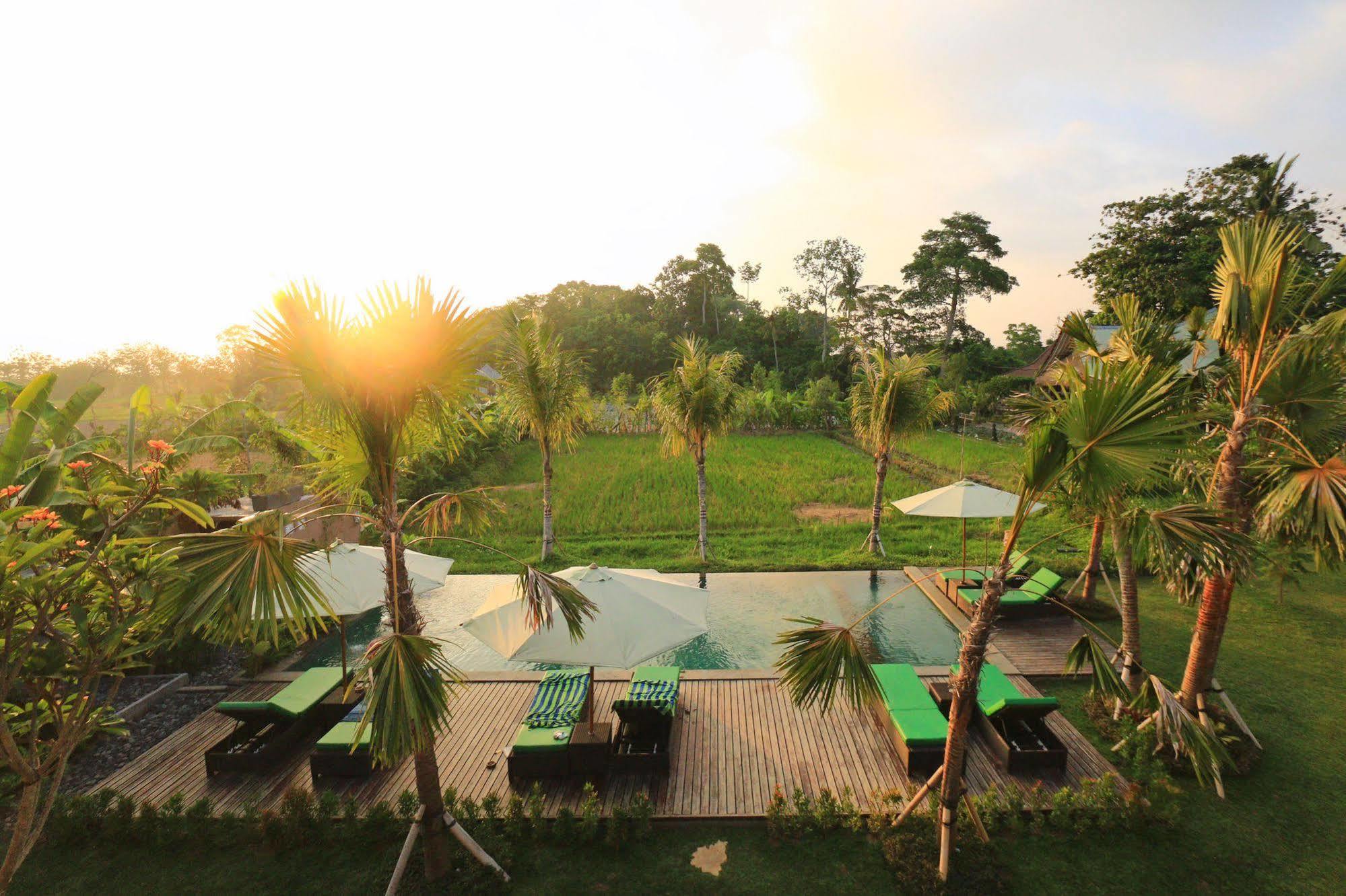 Ubud Tropical Garden Dış mekan fotoğraf